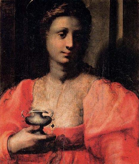 Domenico Puligo Mary Magdalen oil painting image